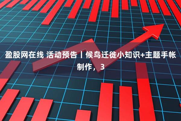 盈股网在线 活动预告丨候鸟迁徙小知识+主题手帐制作，3