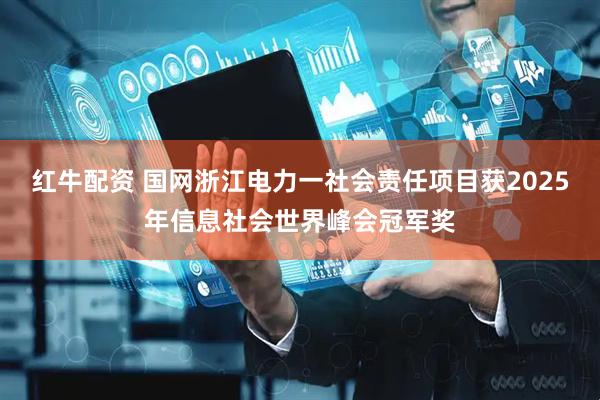 红牛配资 国网浙江电力一社会责任项目获2025年信息社会世界峰会冠军奖