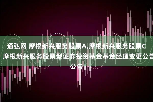 通弘网 摩根新兴服务股票A,摩根新兴服务股票C: 摩根新兴服务股票型证券投资基金基金经理变更公告
