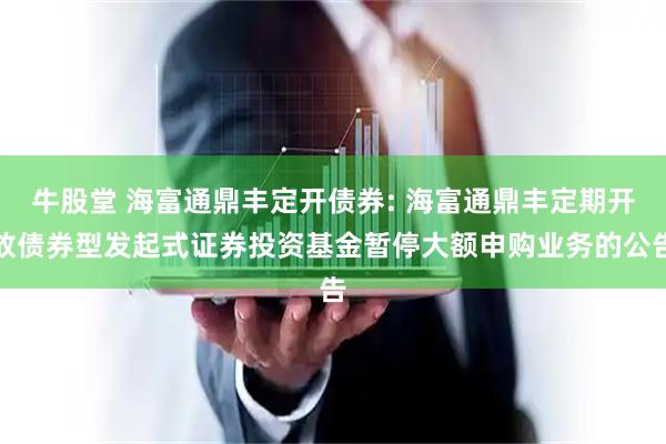 牛股堂 海富通鼎丰定开债券: 海富通鼎丰定期开放债券型发起式证券投资基金暂停大额申购业务的公告