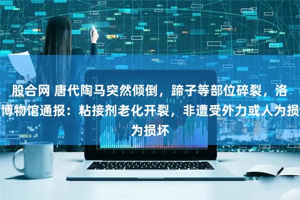 股合网 唐代陶马突然倾倒，蹄子等部位碎裂，洛阳博物馆通报：粘接剂老化开裂，非遭受外力或人为损坏