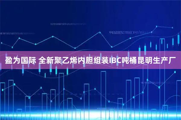 盈为国际 全新聚乙烯内胆组装IBC吨桶昆明生产厂