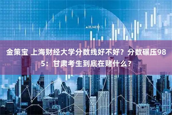 金策宝 上海财经大学分数线好不好？分数碾压985：甘肃考生到底在赌什么？